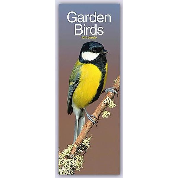 Garden Birds - Singvögel 2023