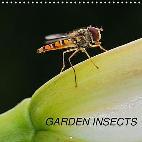 Garden Insects (Wall Calendar 2021 300 × 300 mm Square), Mark N Thomas