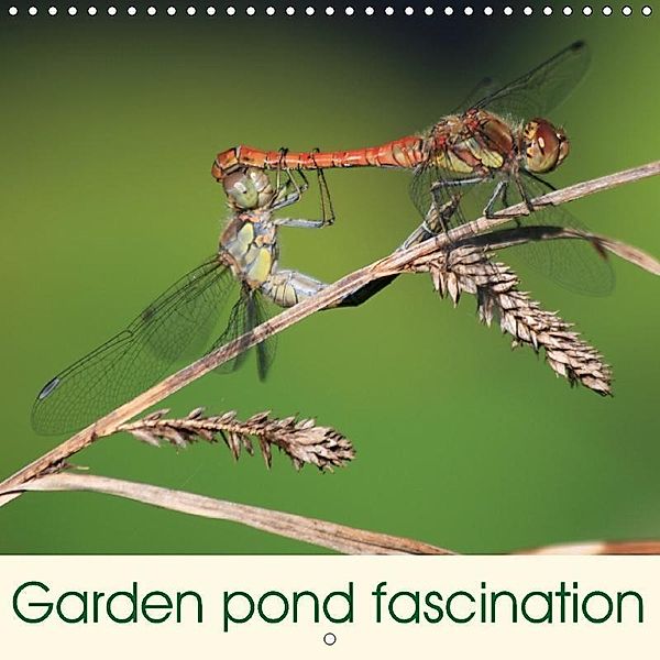 Garden pond fascination (Wall Calendar 2018 300 × 300 mm Square), Reinhard Rickert