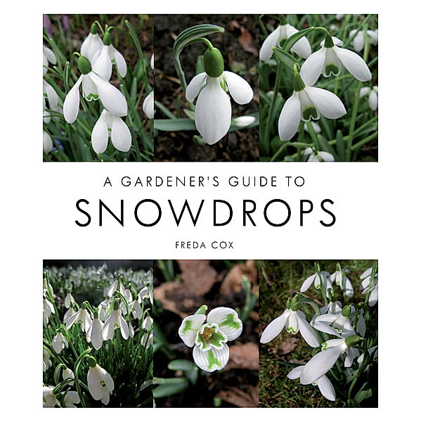 Gardener's Guide to Snowdrops, Freda Cox