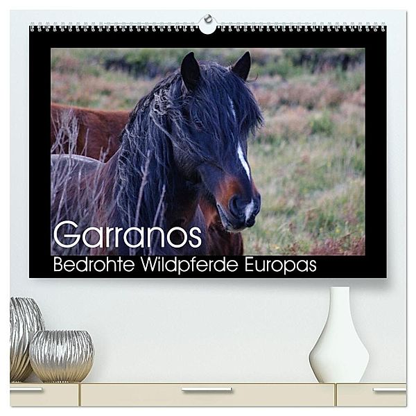 Garranos - Bedrohte Wildpferde Europas (hochwertiger Premium Wandkalender 2025 DIN A2 quer), Kunstdruck in Hochglanz, Calvendo, Sabine Bengtsson/www.perlenfaenger.com