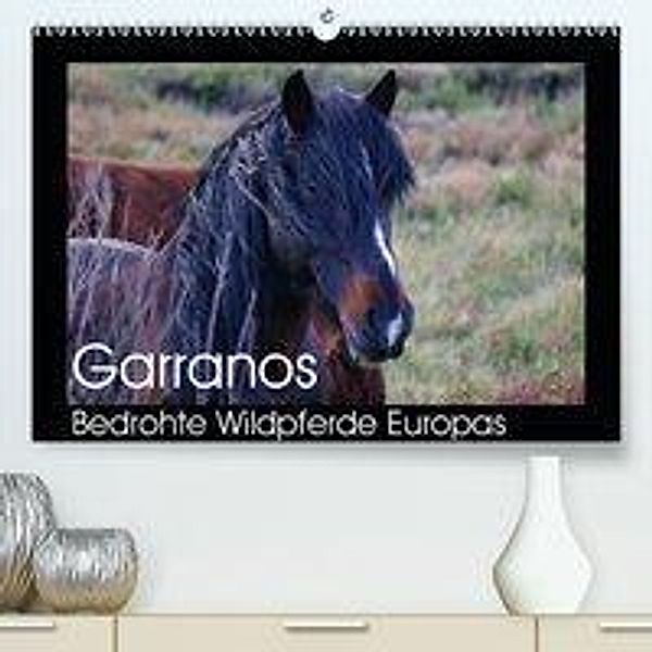 Garranos - Bedrohte Wildpferde Europas (Premium-Kalender 2020 DIN A2 quer), Sabine Bengtsson/www.perlenfaenger.com