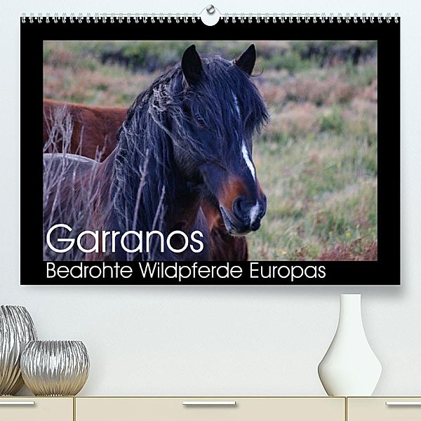 Garranos - Bedrohte Wildpferde Europas (Premium, hochwertiger DIN A2 Wandkalender 2023, Kunstdruck in Hochglanz), Sabine Bengtsson/www.perlenfaenger.com