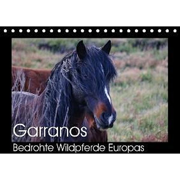 Garranos - Bedrohte Wildpferde Europas (Tischkalender 2015 DIN A5 quer), Sabine Bengtsson