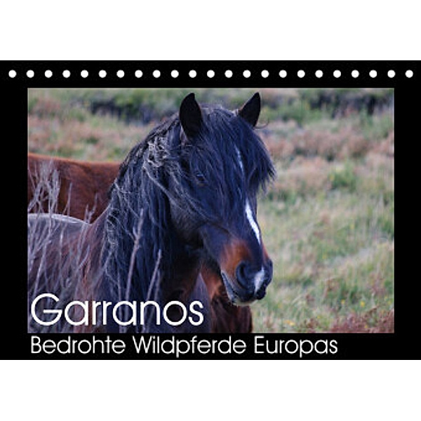 Garranos - Bedrohte Wildpferde Europas (Tischkalender 2022 DIN A5 quer), Sabine Bengtsson/www.perlenfaenger.com