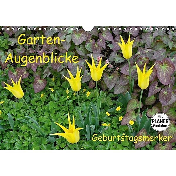 Garten-Augenblicke Geburtstagsmerker (Wandkalender immerwährend DIN A4 quer), Jutta Heußlein