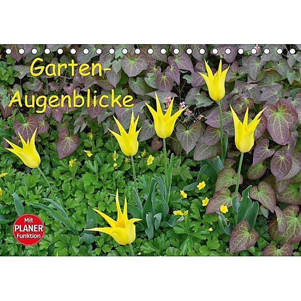 Garten-Augenblicke (Tischkalender 2017 DIN A5 quer), Jutta Heußlein