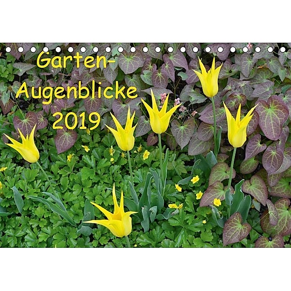 Garten-Augenblicke (Tischkalender 2019 DIN A5 quer), Jutta Heußlein
