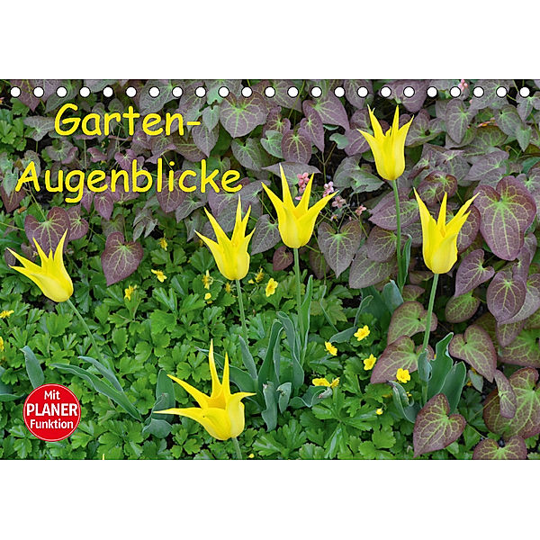 Garten-Augenblicke (Tischkalender 2019 DIN A5 quer), Jutta Heußlein