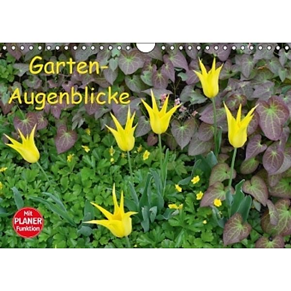 Garten-Augenblicke (Wandkalender 2016 DIN A4 quer), Jutta Heußlein