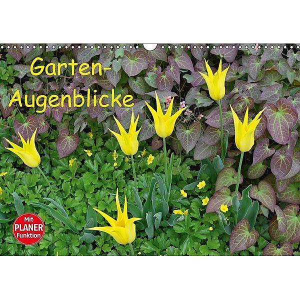 Garten-Augenblicke (Wandkalender 2018 DIN A3 quer), Jutta Heußlein