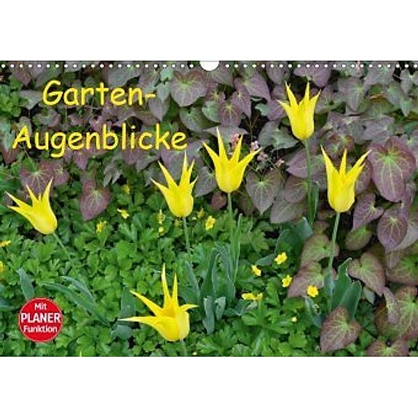Garten-Augenblicke (Wandkalender 2020 DIN A3 quer), Jutta Heußlein