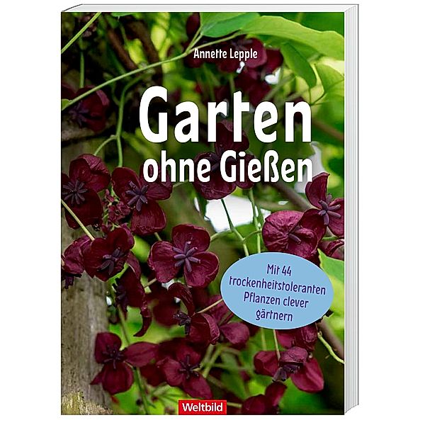 Garten ohne Giessen, Annette Lepple