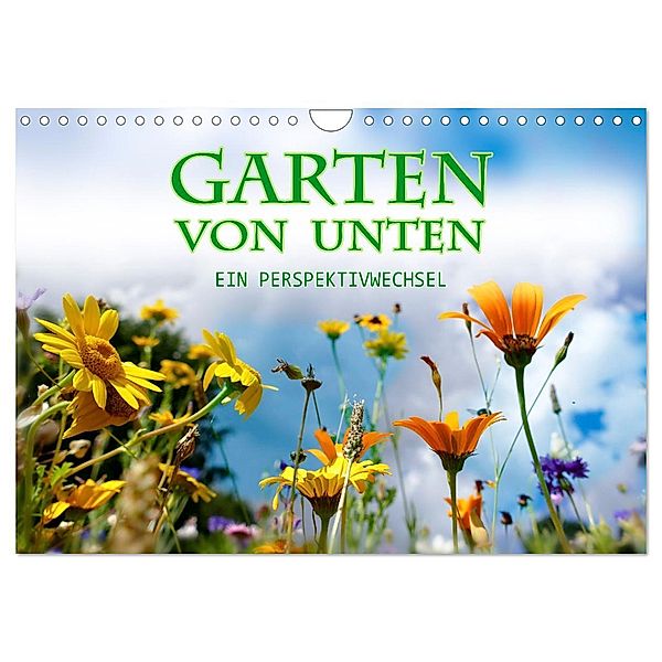 Garten von unten. Ein Perspektivwechsel (Wandkalender 2025 DIN A4 quer), CALVENDO Monatskalender, Calvendo, Christine B-B Müller