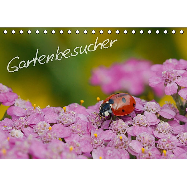 Gartenbesucher (Tischkalender 2019 DIN A5 quer), Gerhard Müller