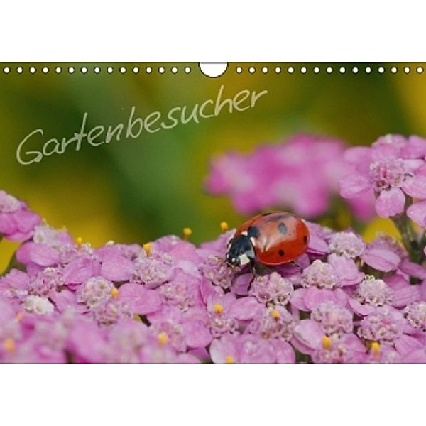 Gartenbesucher (Wandkalender 2015 DIN A4 quer), Gerhard Müller