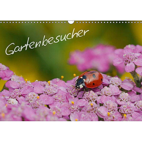 Gartenbesucher (Wandkalender 2019 DIN A3 quer), Gerhard Müller