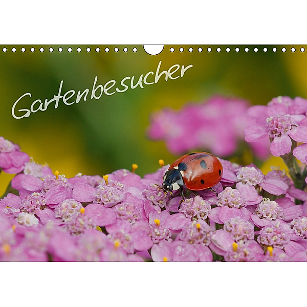 Gartenbesucher (Wandkalender 2019 DIN A4 quer), Gerhard Müller