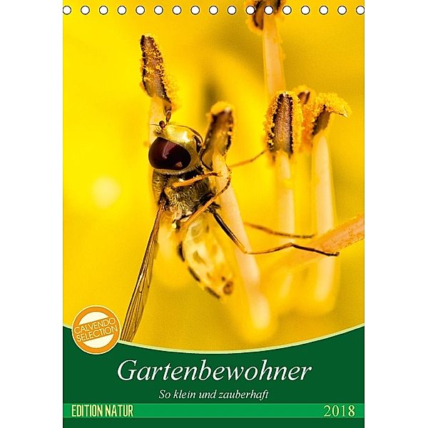 Gartenbewohner - so klein und zauberhaft (Tischkalender 2018 DIN A5 hoch), Samashy