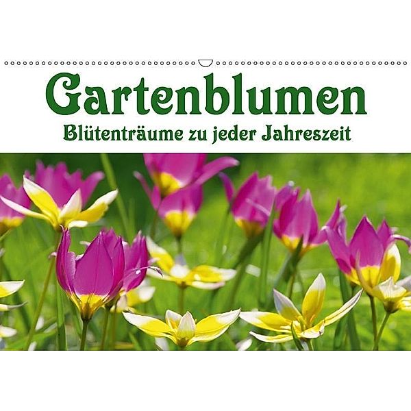 Gartenblumen - Blütenträume zu jeder Jahreszeit (Wandkalender 2017 DIN A2 quer), LianeM