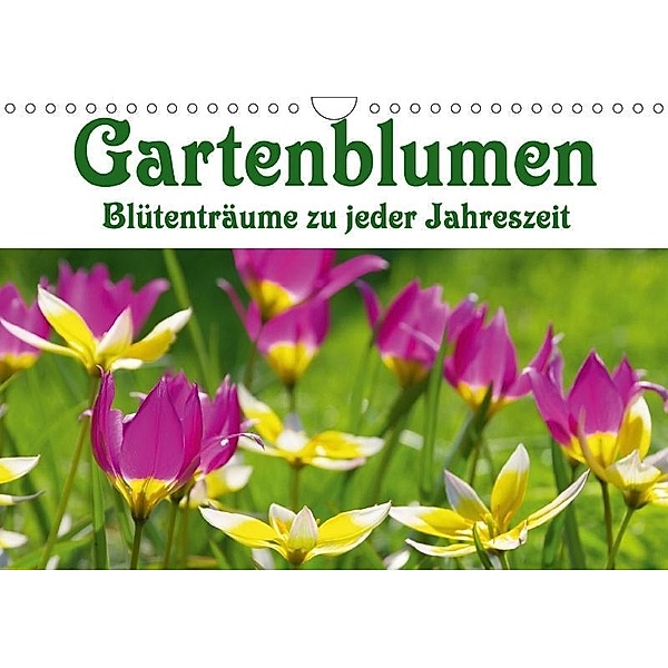 Gartenblumen - Blütenträume zu jeder Jahreszeit (Wandkalender 2017 DIN A4 quer), LianeM