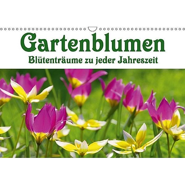 Gartenblumen - Blütenträume zu jeder Jahreszeit (Wandkalender 2017 DIN A3 quer), LianeM