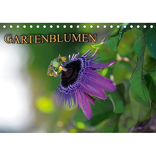 Gartenblumen (Tischkalender 2017 DIN A5 quer), Bildagentur Geduldig