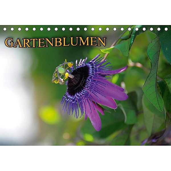 Gartenblumen (Tischkalender 2021 DIN A5 quer), Bildagentur Geduldig