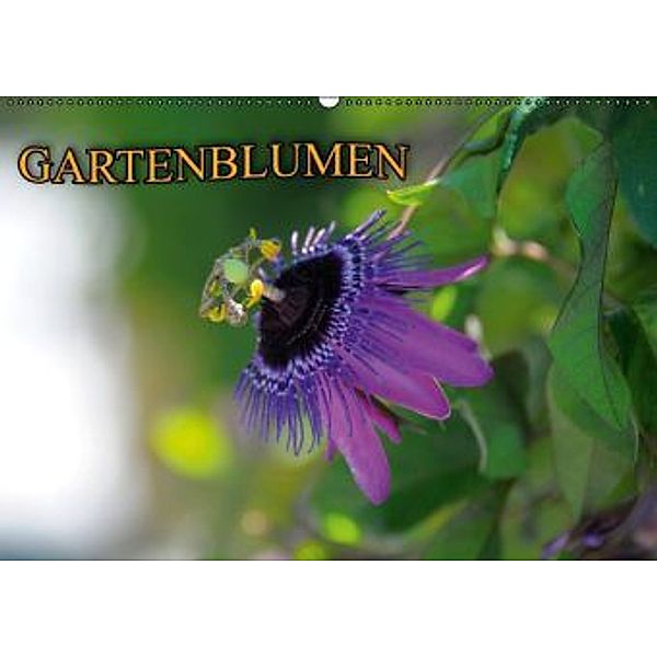 Gartenblumen (Wandkalender 2016 DIN A2 quer), Bildagentur Geduldig