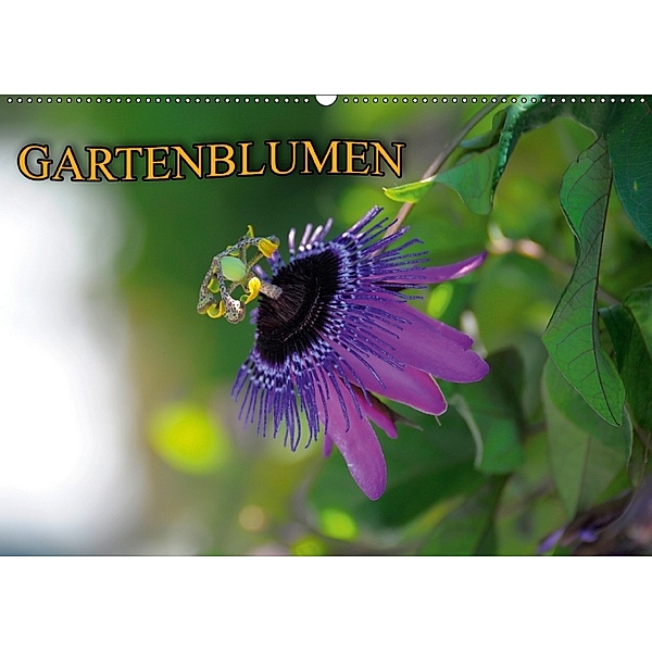 Gartenblumen (Wandkalender 2018 DIN A2 quer), Bildagentur Geduldig