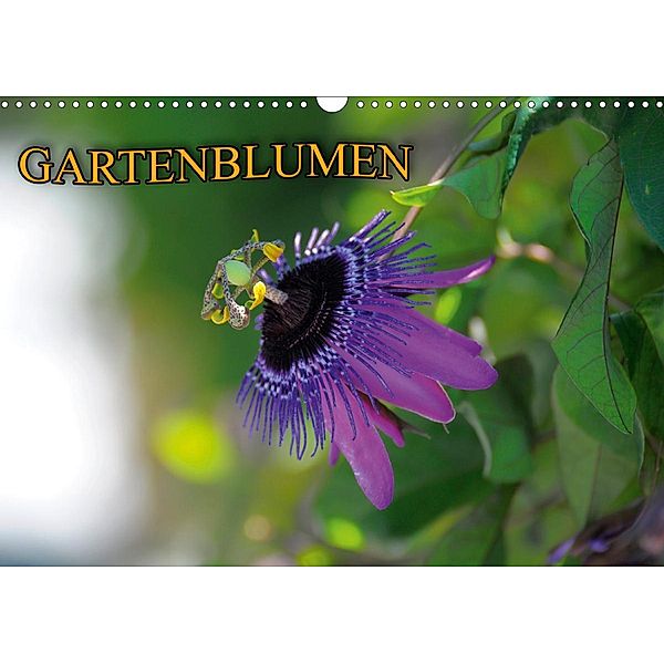 Gartenblumen (Wandkalender 2021 DIN A3 quer), Bildagentur Geduldig