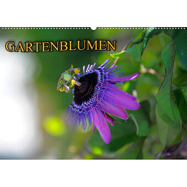 Gartenblumen (Wandkalender 2022 DIN A2 quer), Bildagentur Geduldig