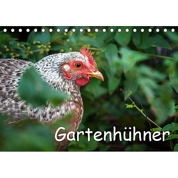 Gartenhühner (Tischkalender 2019 DIN A5 quer), Britta Ohm