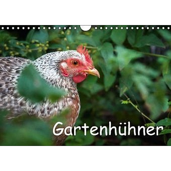 Gartenhühner (Wandkalender 2016 DIN A4 quer), Britta Ohm
