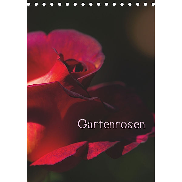 Gartenrosen (Tischkalender 2019 DIN A5 hoch), Erwin Renken