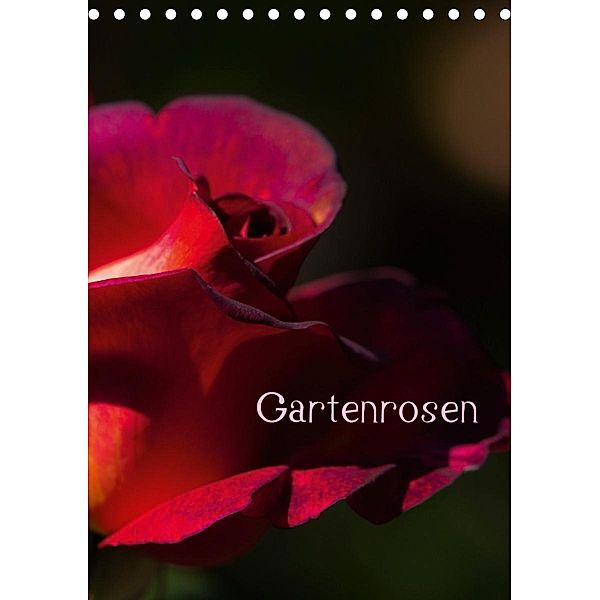 Gartenrosen (Tischkalender 2021 DIN A5 hoch), Erwin Renken