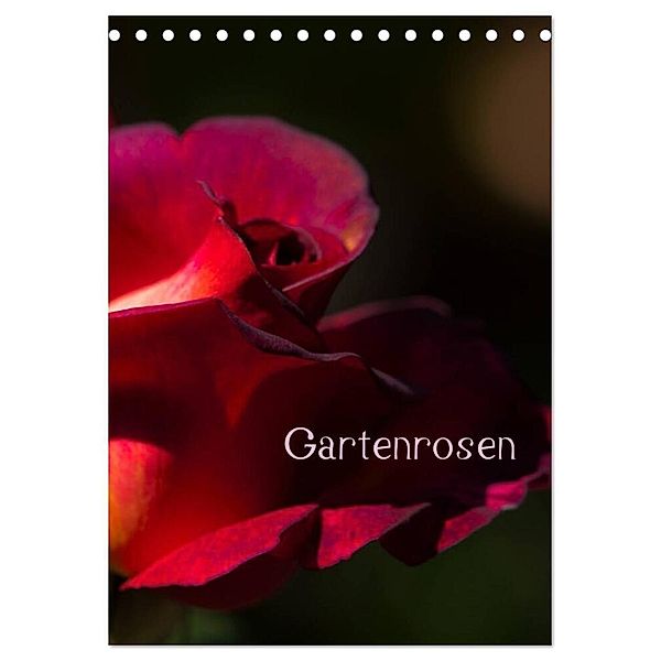 Gartenrosen (Tischkalender 2024 DIN A5 hoch), CALVENDO Monatskalender, Erwin Renken