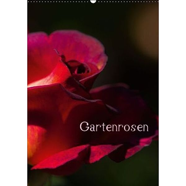Gartenrosen (Wandkalender 2016 DIN A2 hoch), Erwin Renken