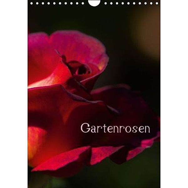 Gartenrosen (Wandkalender 2016 DIN A4 hoch), Erwin Renken