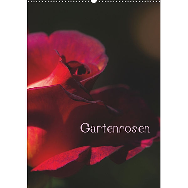 Gartenrosen (Wandkalender 2019 DIN A2 hoch), Erwin Renken