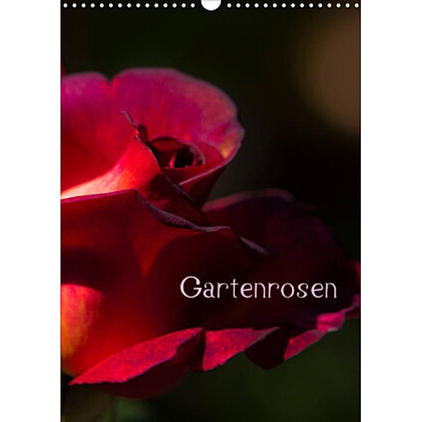 Gartenrosen (Wandkalender 2022 DIN A3 hoch), Erwin Renken