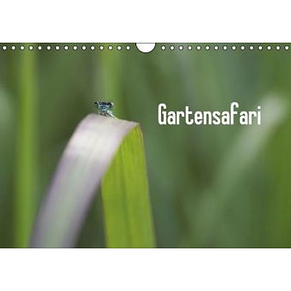 Gartensafari (Wandkalender 2015 DIN A4 quer), Kristin Möller