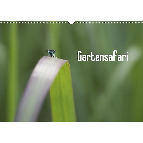 Gartensafari (Wandkalender 2017 DIN A3 quer), Kristin Möller