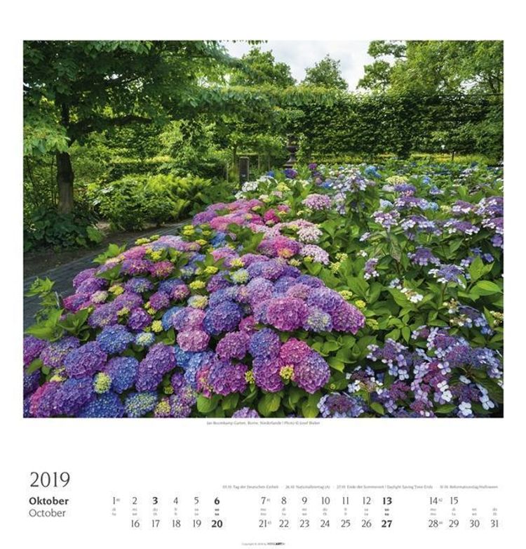 Gartenträume 2019 - Kalender günstig bei Weltbild.de bestellen