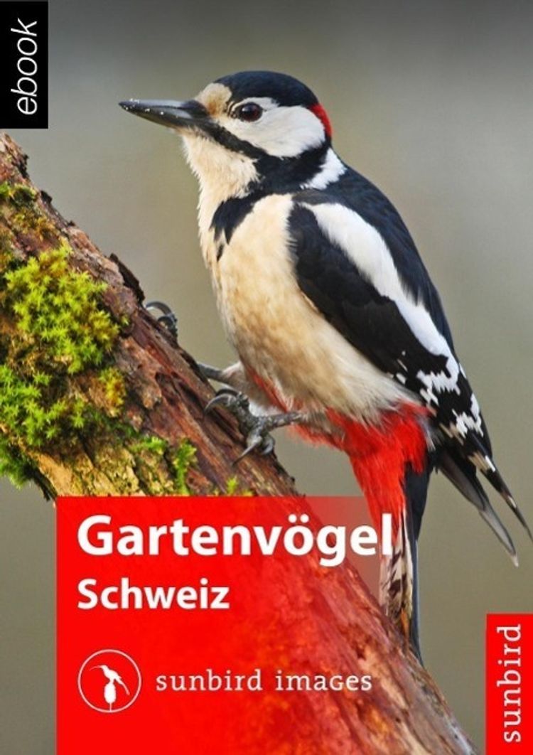 Gartenvögel der Schweiz - Vögel Erkennen, Bestimmen und Schützen eBook v.  Sunbird Images | Weltbild