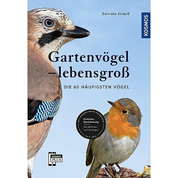 Gartenvögel lebensgross, Daniela Strauss