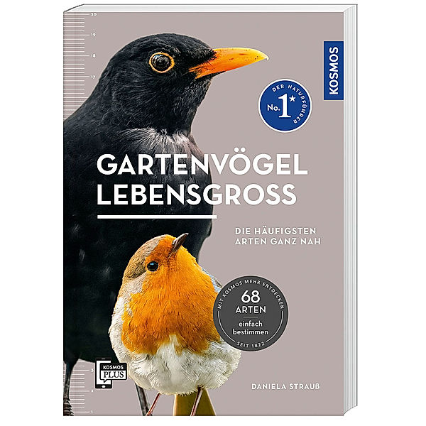 Gartenvögel lebensgroß, Daniela Strauß