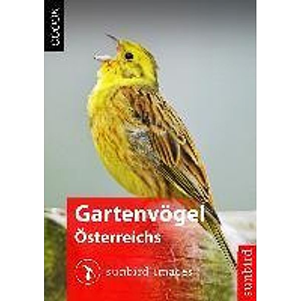 Gartenvögel Österreichs - Vögel Erkennen, Bestimmen und Schützen, Sunbird Images