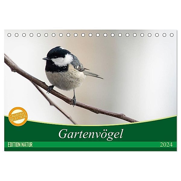 Gartenvögel (Tischkalender 2024 DIN A5 quer), CALVENDO Monatskalender, Samashy-Romy Schötz