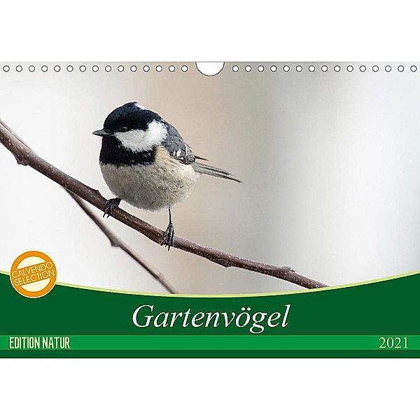 Gartenvögel (Wandkalender 2021 DIN A4 quer), Samashy-Romy Schötz